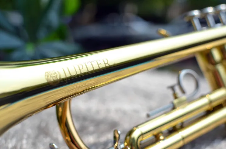 Bb Trumpet - Professional Silver Plated Brass Instrument with Case ...