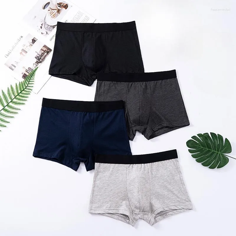 Sous-vêtements 1PC Pack Shorts Hommes Slips Sous-vêtements Coton Mâle Pour Homme Sexy Box Slips Slips Set Lot Kit Gym