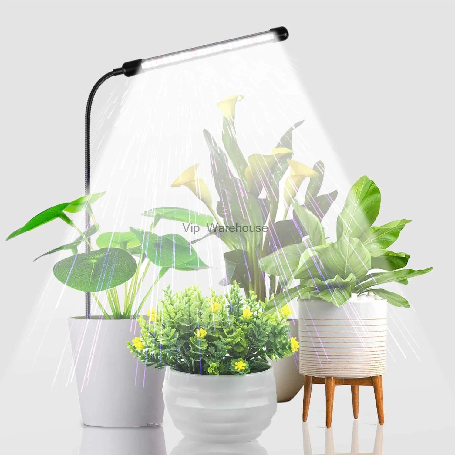 Grow Lights Luce per la crescita delle piante da interno 6000 K Spettro completo Luce per piante a collo di cigno per piccole piante per la semina Timer automatico YQ230926