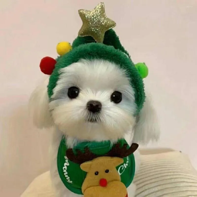 Abbigliamento per cani Divertenti costumi di Halloween per cani Costume per animali domestici Cappello per gatti Asciugamano per saliva Articoli per bavaglini