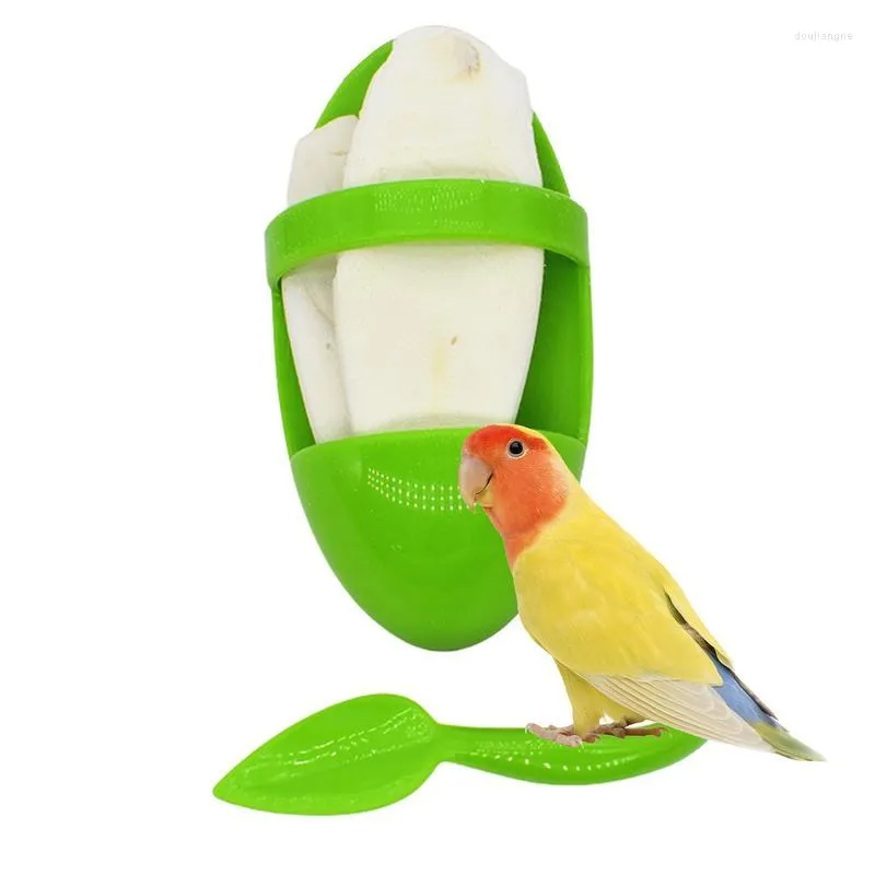 Andra fågelförsörjningar CuttleBone för Parakeet Cage Accessories Cuddle Bone Holders Matlagring Cuttlefish