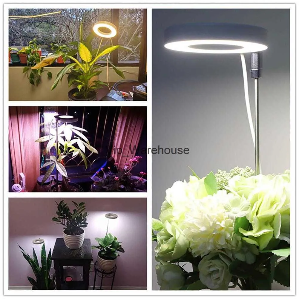 ライトエンジェルリング植物の成長光光フルスペクトルLED広い照明範囲屋内植物のためのタイマー付きフィトランプ栽培ランプハーブYQ230927 YQ230927