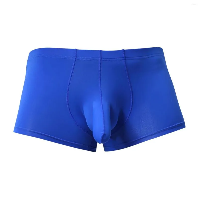 Mens Sexy Elephant Nose Boxer Knickers Pants With Slips