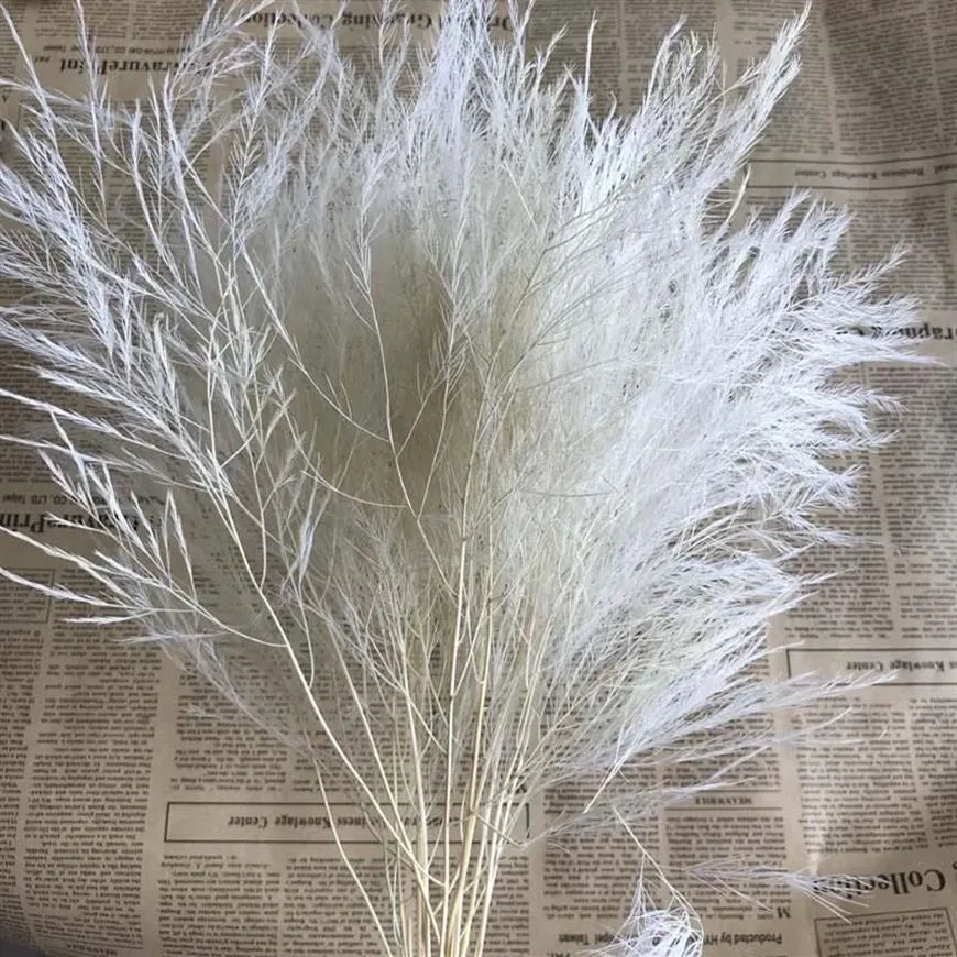 Decorative Flowers & Wreaths 10PCS About 40CM Real Dried Natural Preserved Feather Grass Dry Arundinacea Eternelle Home Decor Wedd1932