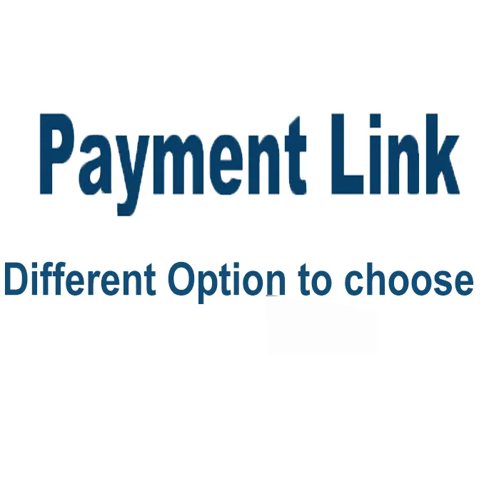 500PCS Specjalne link do płatności Opcje Opcje Opcje Specjalne link płatności Niestandardowy długopis i wysyłka Koszt dodatkowy zdalny region niestandardowy przykładowe zamówienie Linki