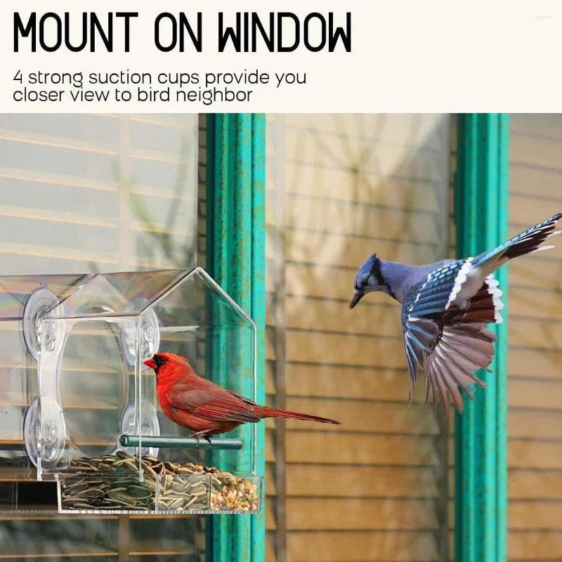 Cadeau pour un homme de 85 ans - Mangeoire de fenêtre oiseaux
