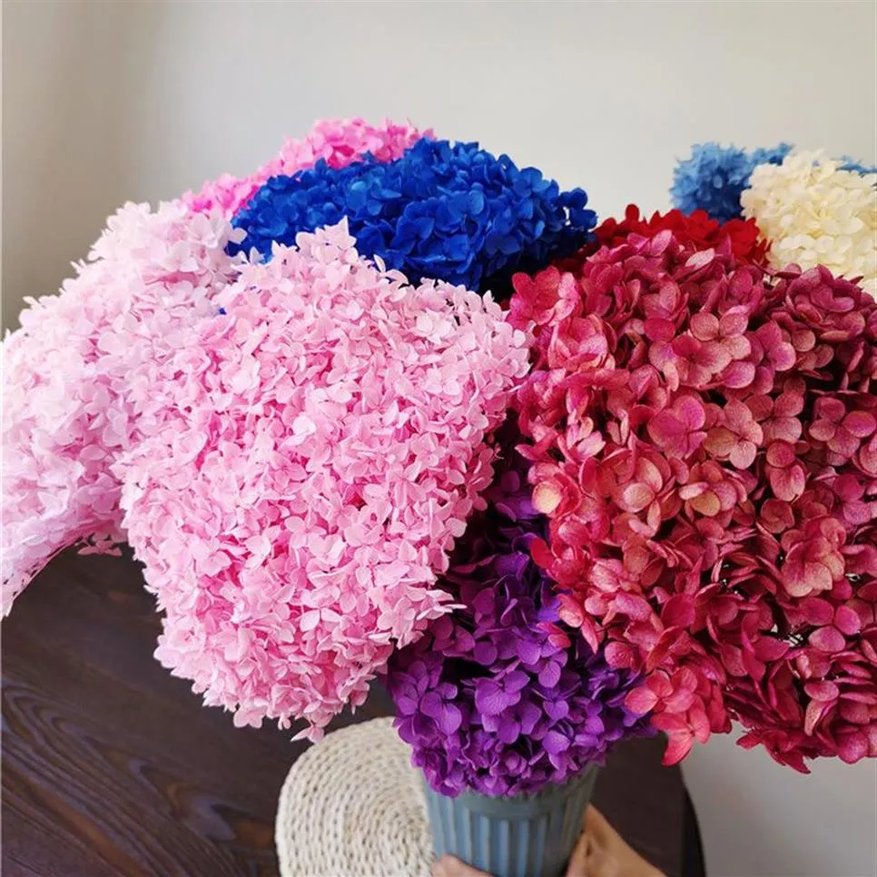 1BUNCH 40x20CM 30COLORS Anna Hydrangea hela grenen bevarad torkad blommebukett Pograf Ny hem skrivbordsträdgårdsdekoration 22876