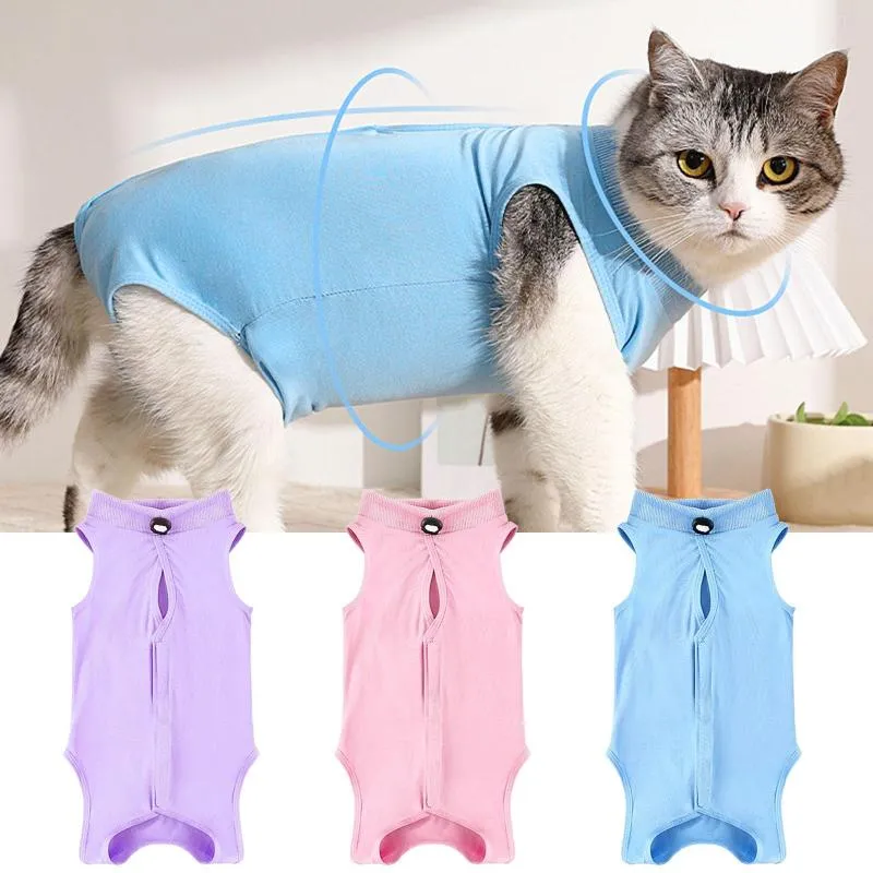 Costumi per gatti Felpa traspirante femminile Felpa solida sterilizzata/neutra per animali domestici svezzati dopo aver leccato Quattro stagioni possono essere utilizzati