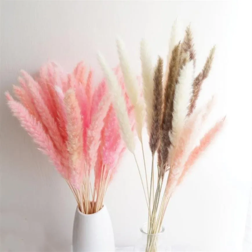 20pcs 3 Kolor Dostępny Pinkwhite małe kwiaty trzcinowe Blowery Flowmites Flowmites Flowerspampas Grass Wedding Flowers183l