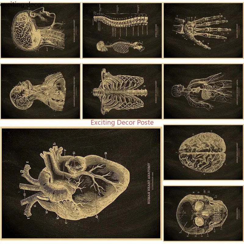 Resimler anatomik iskelet kara tahta posteri kraft kağıt posterler vintage ev ilaç öğrencisi dekor sanat duvar boyama 230928