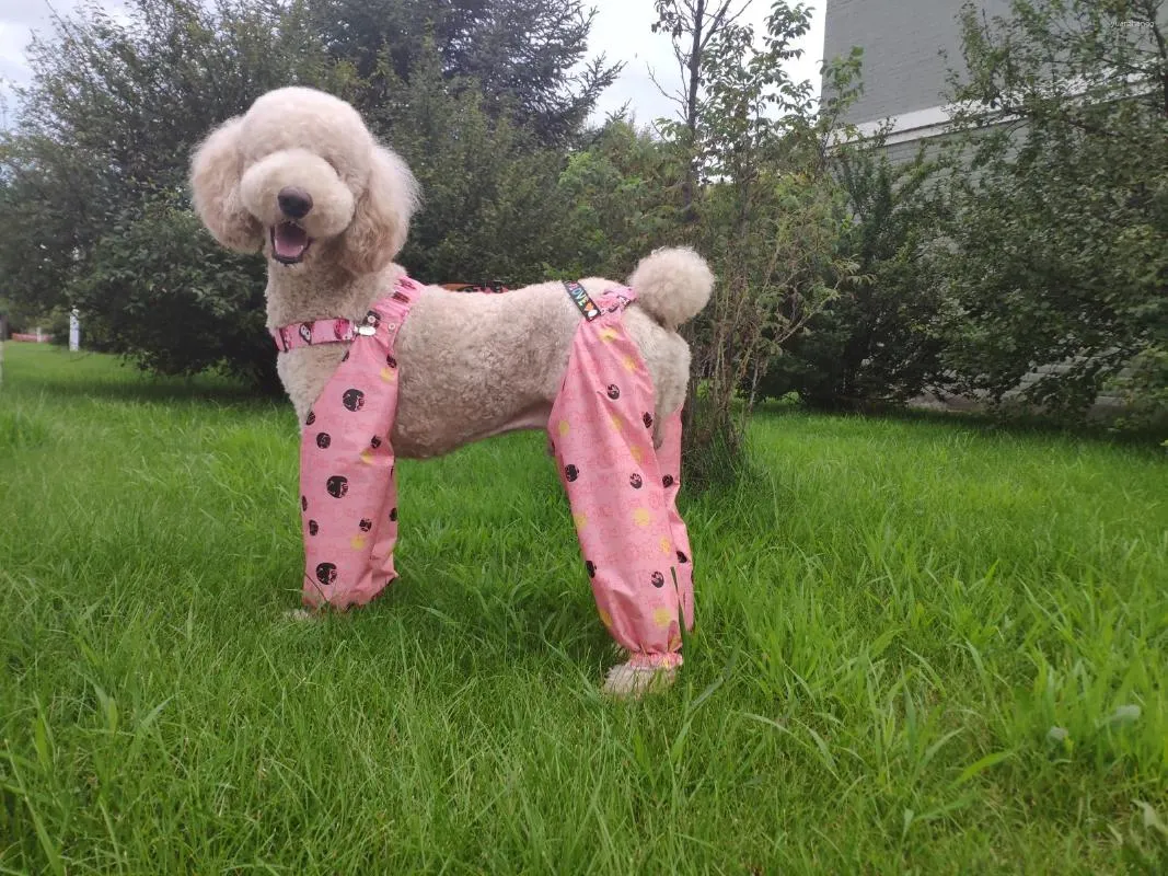 Köpek giyim köpeğinin idrar geçirmez bacakları yağmura dayanıklı önlükler ve bacak kapaklar oyuncak ayının Golden Retriever yağmurluk.