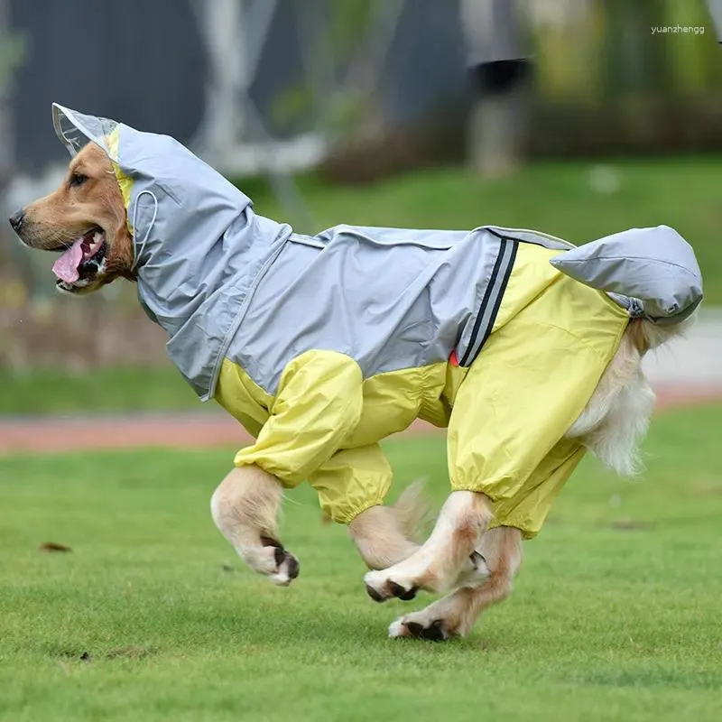 Samoyed raincoat shop