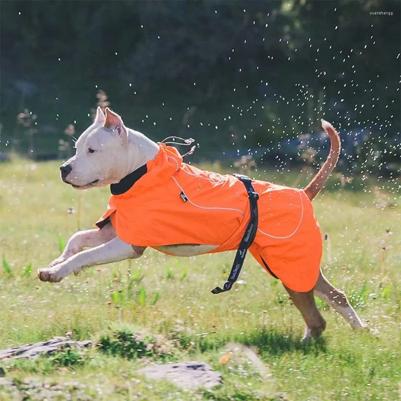 Hondenkleding Prijs Ontbrekend Blackdoggy VC18-JK002B Lichtgewicht jack met waterdicht en verstelbaar voor gebruik buitenshuis