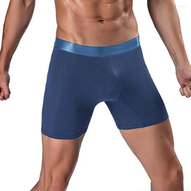 Long top underwear shorts