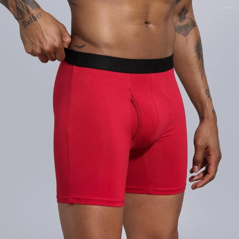 Caleçons sous-vêtements hommes boxeurs longs vêtements pour hommes Shorts coton homme culottes Boxershorts Boxer