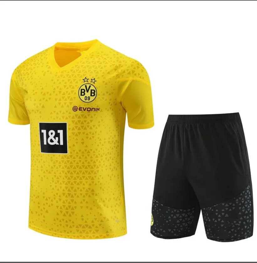 Chandal de Chaqueta del Borussia Dortmund 2023-2024 Amarillo