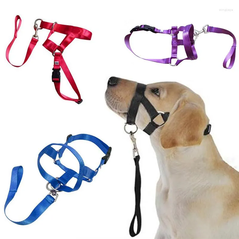 Hundhalsar Creative Halter Halti Training Head Collar Gentle Leader Harness Polyester Breakaway Alla årstider Användbar sele Lead