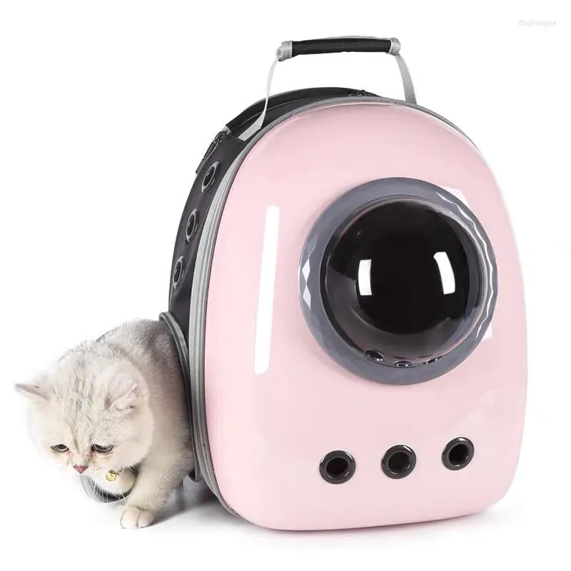 Cat Carrier Torby Torba Transport Transpack Plecak Pet Pet Portable oddychające torby dla psów dla