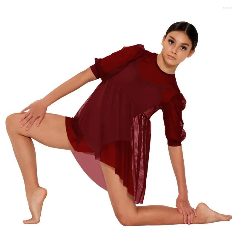 knee length dresses for ladies Capezio Women's Soft Elegance Long Sleeve Mesh Leotard