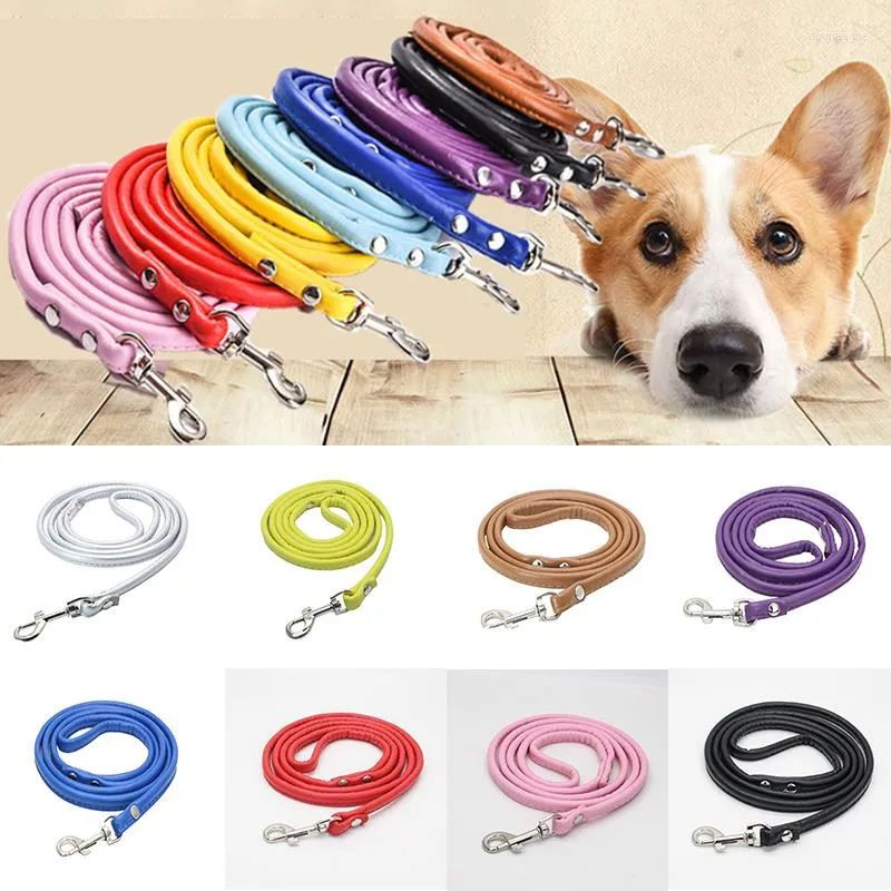 Hundhalsar 120 cm PU -läder Pet Leases Solid Color Rotertable Valpkedjan Rop Harness Walking Accessories Supplies