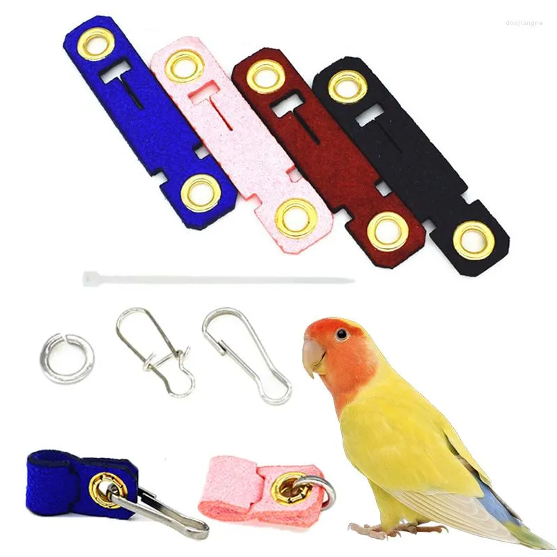 Autres fournitures pour oiseaux 7 tailles anneau de jambe de perroquet pour animaux de compagnie chaîne de pied de cheville en cuir suédé anneaux de boucle en direct accessoires 4 couleurs