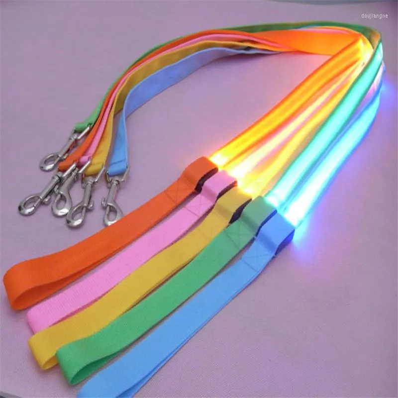 Colliers en Nylon pour chiens, laisse lumineuse LED, sécurité nocturne, clignotant, lueur dans la nuit, fournitures pour animaux de compagnie, dessin de chat, petit plomb