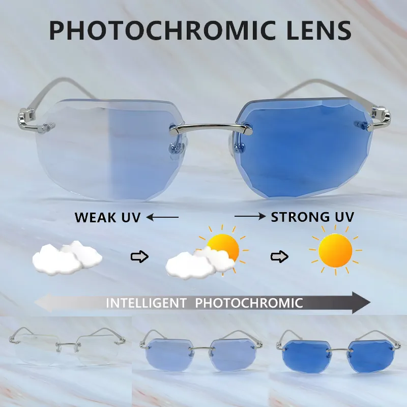 Photochromic Sunglasses Color Changing Panther Lenses Rimless Titanium Frame Unisex Vintage Shades
