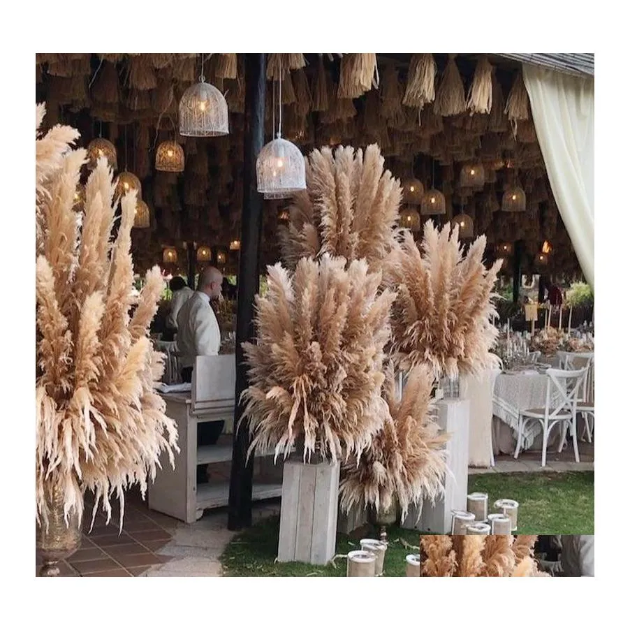 Decoratieve bloemen kransen 8/10/20 stks natuurlijke gedroogde bloem reed pampas gras home decor bruiloft decoraties boerderij achtergrond drop d dh0ns