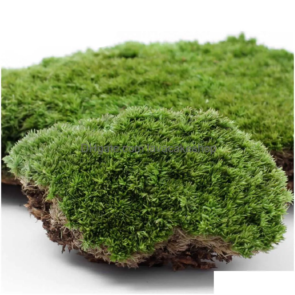 Décorations De Jardin Conservé Séché Naturel Tapis De Mousse Sauvage Mousses Gazon Pour Bricolage Micro Paysage Terrarium Plante Bonsaï Pot Décoration Y Dhf0U