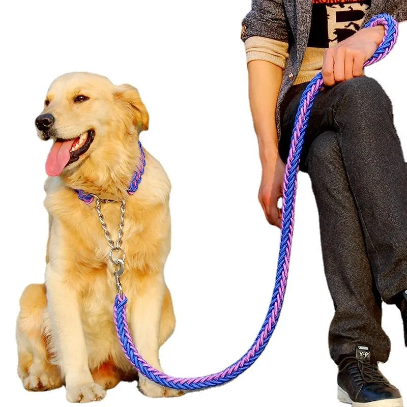 Hundhalsar PET LEASH Justerbar krage set medium och stora metall p -kedja tillbehör grossist labrador gyllene retriever