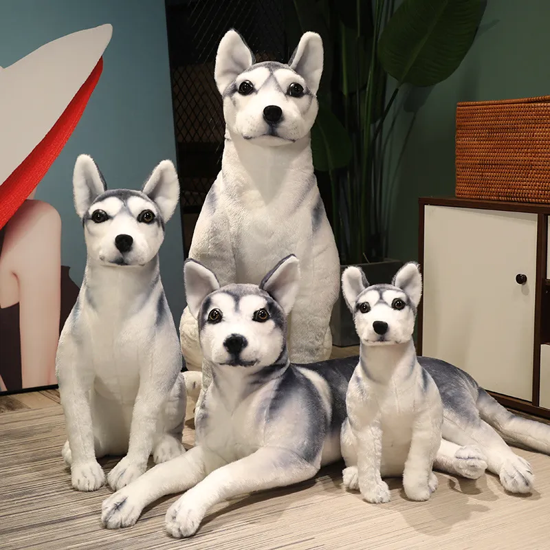 Dolls de pelúcia de alta qualidade Big Simulation Toy de cachorro Toy recheado, Husky Husky Puppy Doll Home Decor Cartoon Kids Garota Garota de aniversário 230106