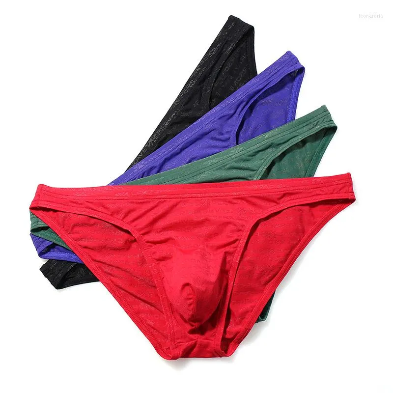 Underpants Sexy Transparent Underwear Men's Briefs Soft Panties Bikini Male Lingerie