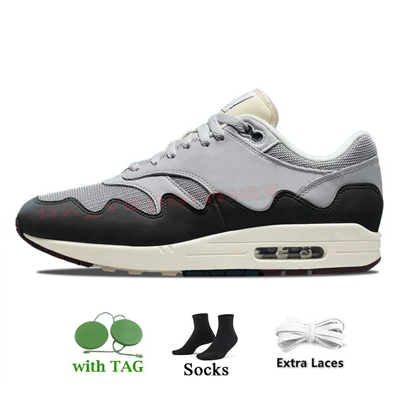 Mens Womens Designer Aqua Running Sneakers Patta Waves 1s