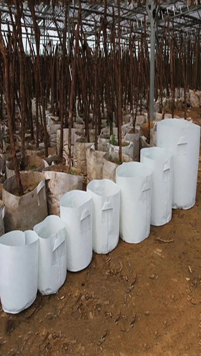 Växande påsar icke -vävda trädtygkrukor växer väska med handtag rotbehållare växter påse plantor blomkruka trädgårdsäckar4040864