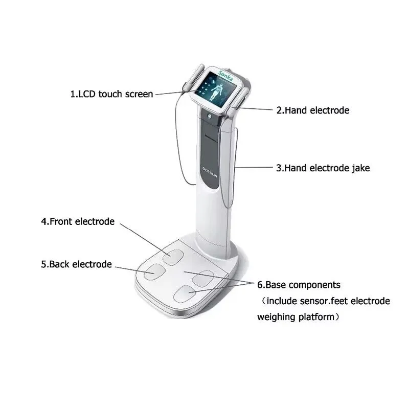 Balance de poids corporel pour gymnase USA Analyseur d'IMC chaud Scanner 3D de santé Analyse d'impédance bioélectrique portable à 8 électrodes du corps segmentaire