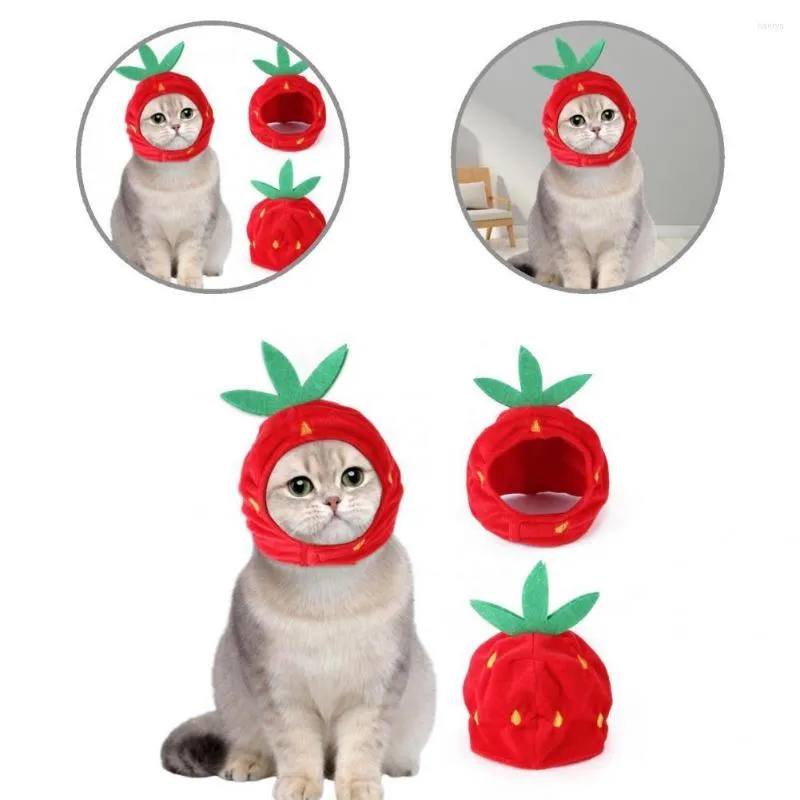 Hondenkleding unieke huisdierpet grote aardbei verschijning aankleden milieuvriendelijke kittenhonden cosplay hoed