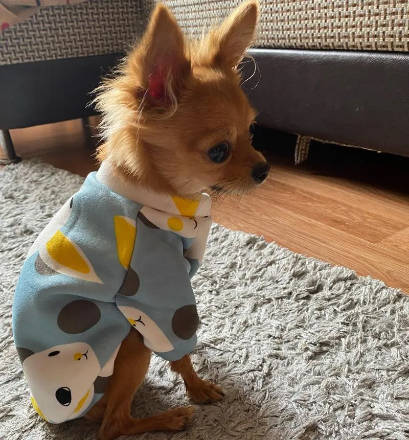 Dog Apparel Pet Clothes Cartoon Animal Printed Coat Cute Shirt Jacket Sweater Cat Pets Clothing Costumes Kawaii