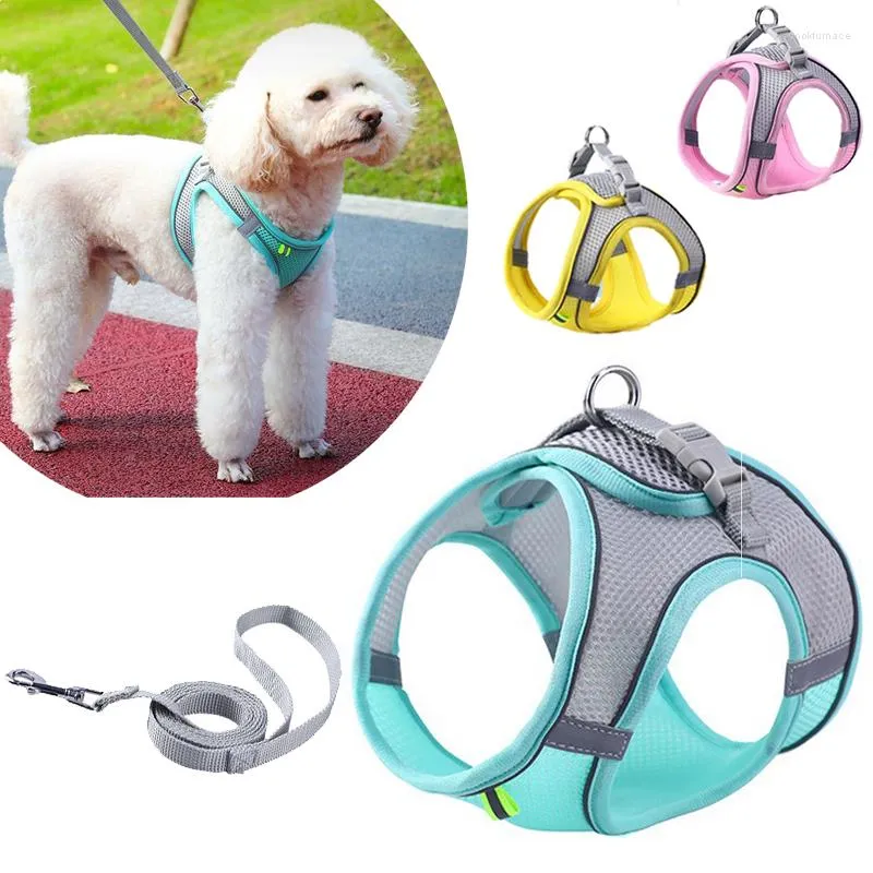 Collari per cani Imbracatura Gilet con guinzaglio per cani di piccola taglia Cinturino pettorale regolabile Collare per gatti Accessori per guinzagli da passeggio all'aperto