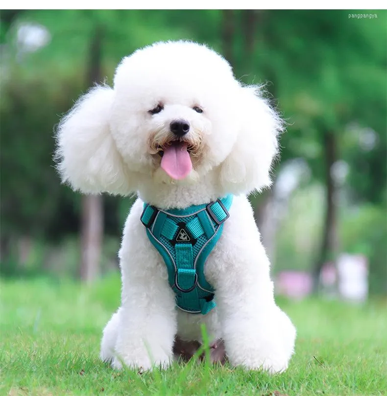 Colliers pour chiens et chiots, harnais réglable, muselière réfléchissante, gilet respirant, laisse en plomb, en Polyester doux pour animaux de compagnie de petite et moyenne taille