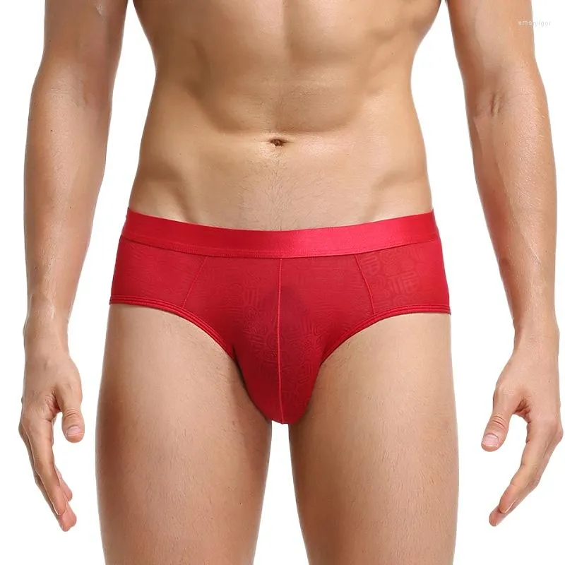 Underpants Red Panties Men Erotic Transparent Briefs Sissy Thin Sexy Male  Lingerie For Sex Underwear Boys G-strings Porn Gays