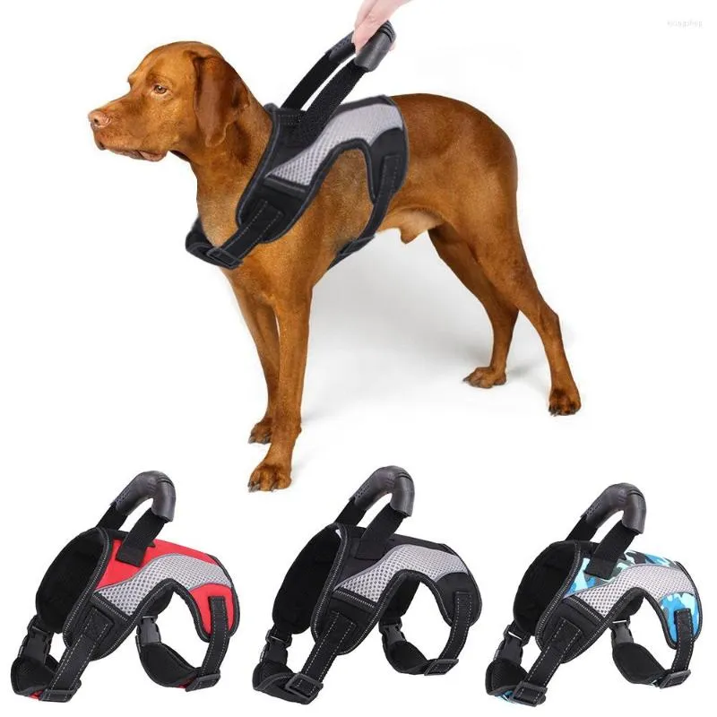 Hondenkragen grote harnas riem set ademende nylon schokbestendige huisdier accessoires licht reflecterende husky wandeloefening puppyproducten