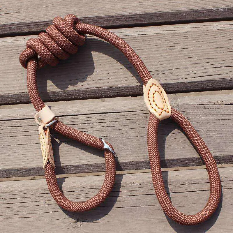 Hundhalsar P Chain Leash Slip Collar Pet Walking Leads Nylon Mountain Climbing Rope Valp Traction For Small Medium Large Dogs