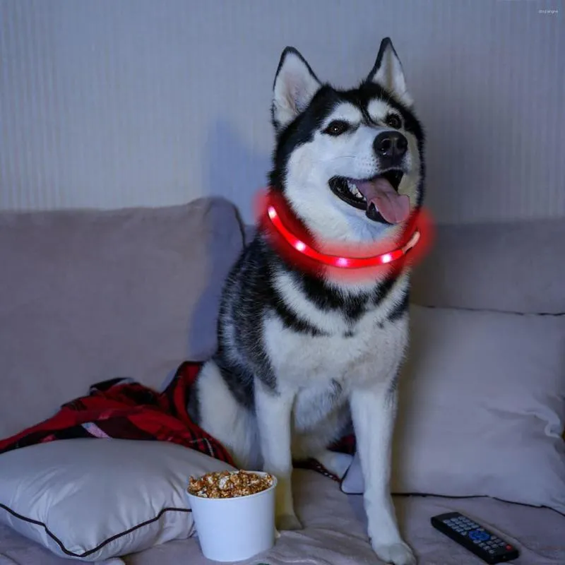 Hondenkragen 12 LED USB -kraag Pet Night Gloeiende Luminous oplaadbare kleurveiligheid Knipperende gloed BT