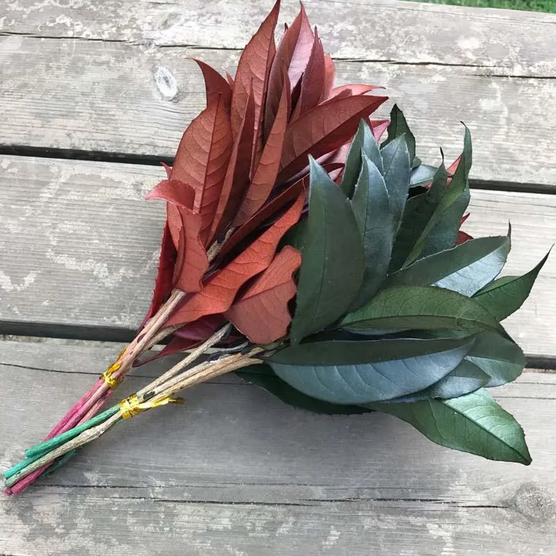 Dekorativa blommor 5st Natural Bevarad torkad Osmanthus bladblommor gren Eviga torra blad i grönt rött för DIY blommor arrangemang