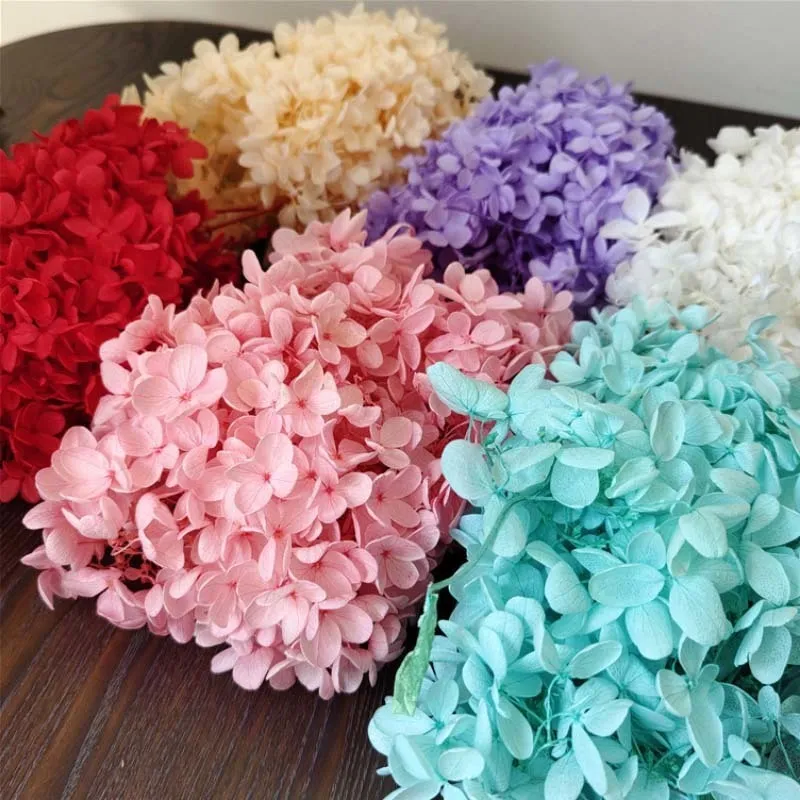 Decorative Objects Figurines 20g34CM Flower Petals Preserved s Dried Natural Wood Hydrangea Head Eternal BigLeaf Hydrangeas Petal 230110