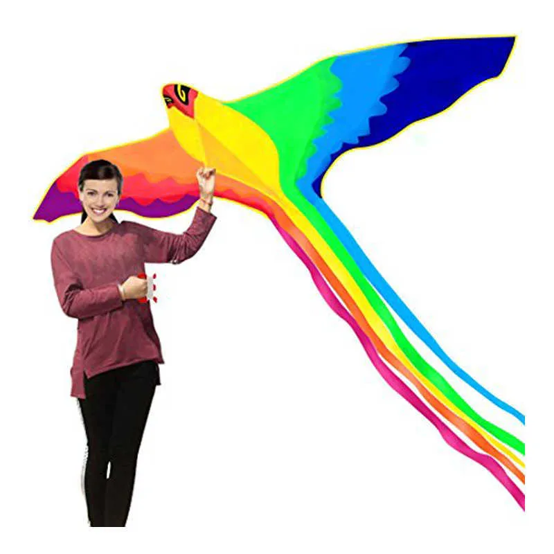 Colorful Bird Kite 74 Inches Easy Control With Handle Line Perfect Outdoor  Toy For Kids Sale Now! From Musuo10, $15.33
