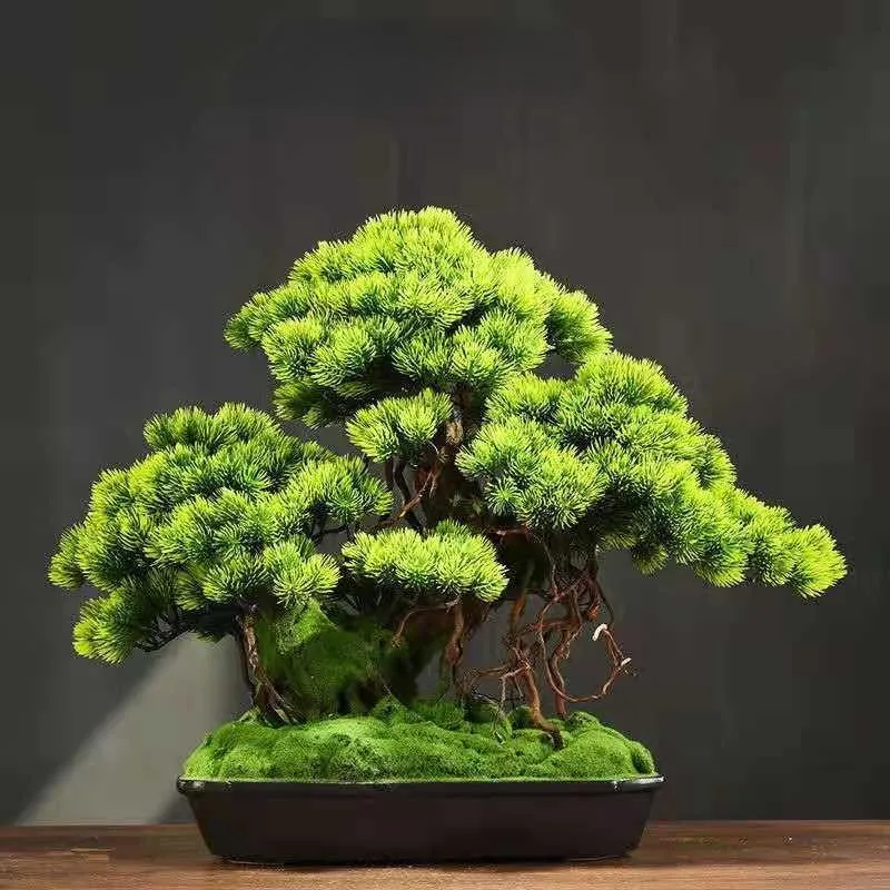 Decoratieve beeldjes Objecten Simulatie Micro-landscape Welkoming Pine Green Planten Bonsai Woonkamer Porta Decoratie Chinese kantoor Hom