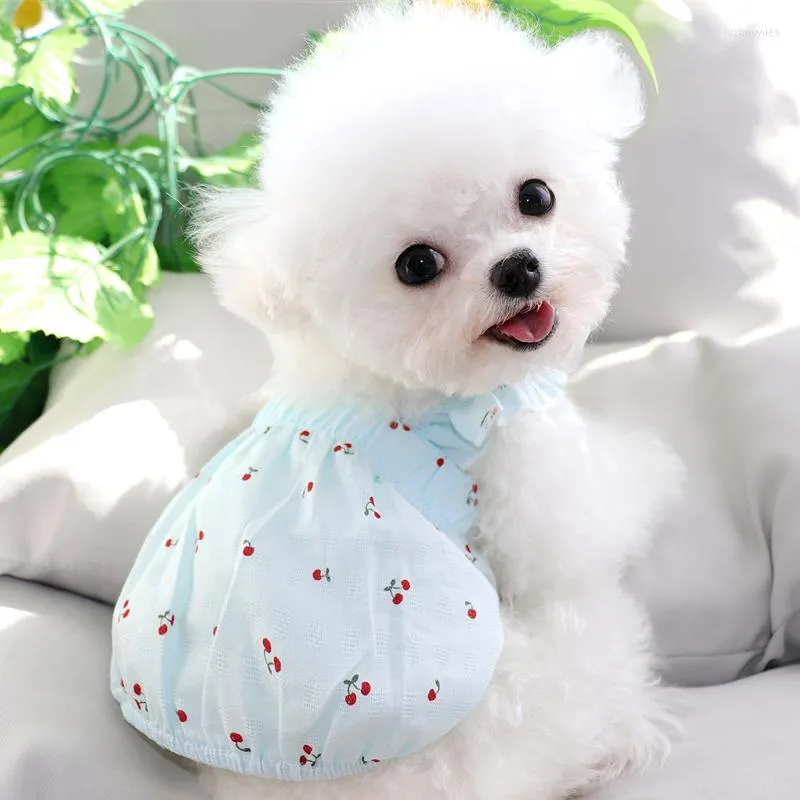 Hundkläder teddy kjol vår sommarvalp kläder för husdjur små medelstora hundar klänning bichon pomeranian Yorkshire katter klänningar