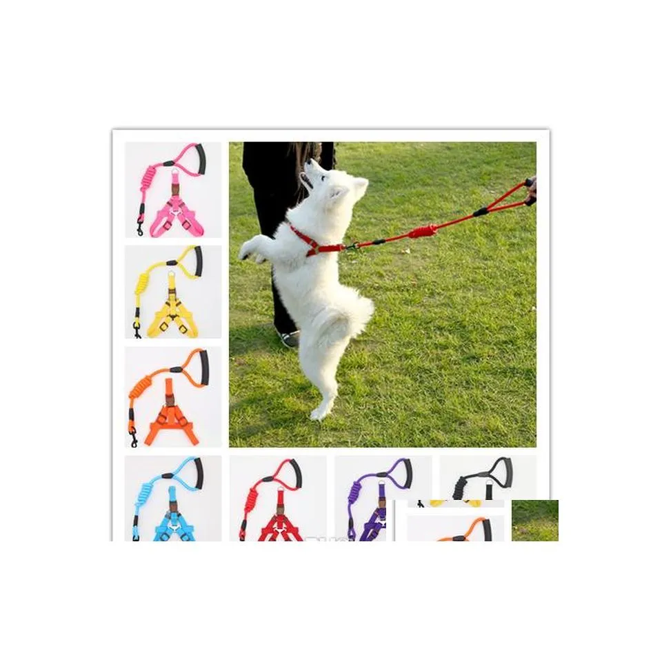 Collari per cani Guinzagli 4 Taglia Guinzaglio per addestramento per animali domestici Collare per cani Cani con imbracatura Corda per trazione per animali domestici durevoli S / M / L / Xl Drop Delivery Home Dhmvp