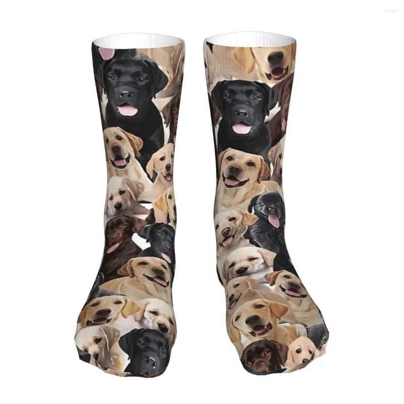 Men's Socks Labrador Sock Men Women Polyester Stockings Customizable Funny